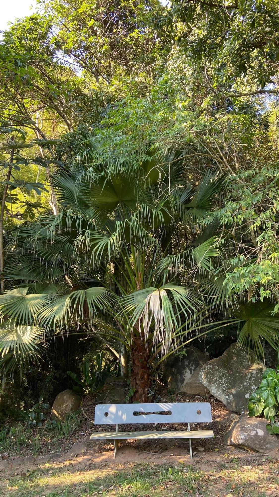 Chale Vermelho - Sitio Caldeirao * Petropolis (Rio de Janeiro)